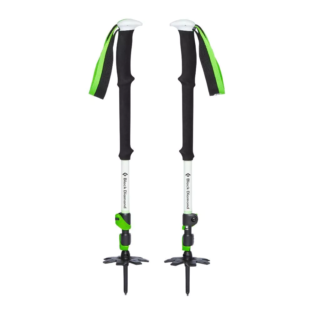 Expedition 3 Ski Poles